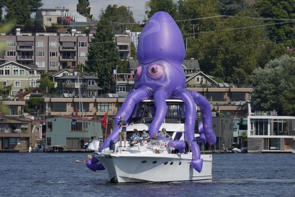 Kraken com зеркало