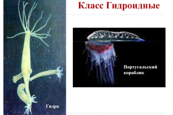 Кракен топ