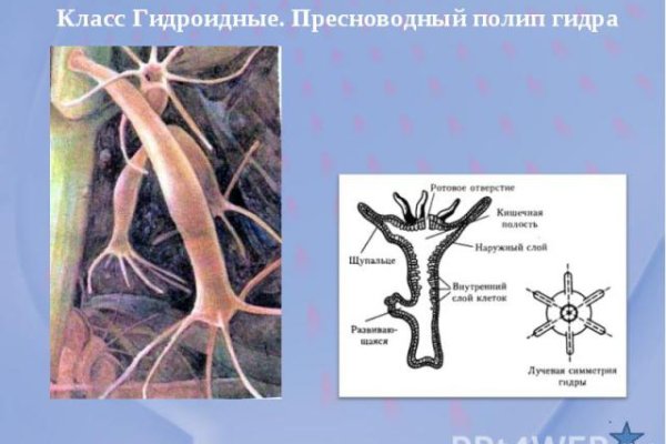 Кракен пользователь не найден что