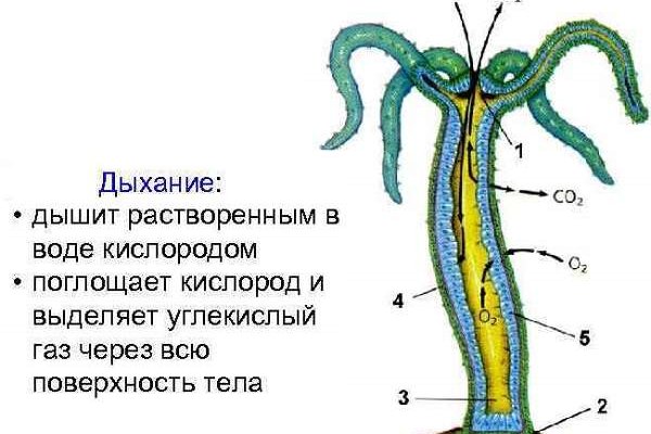 Кракен дарк сайт