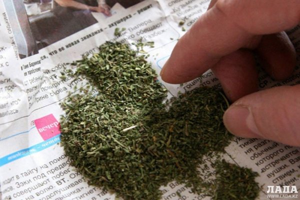 Официальный сайт даркнет